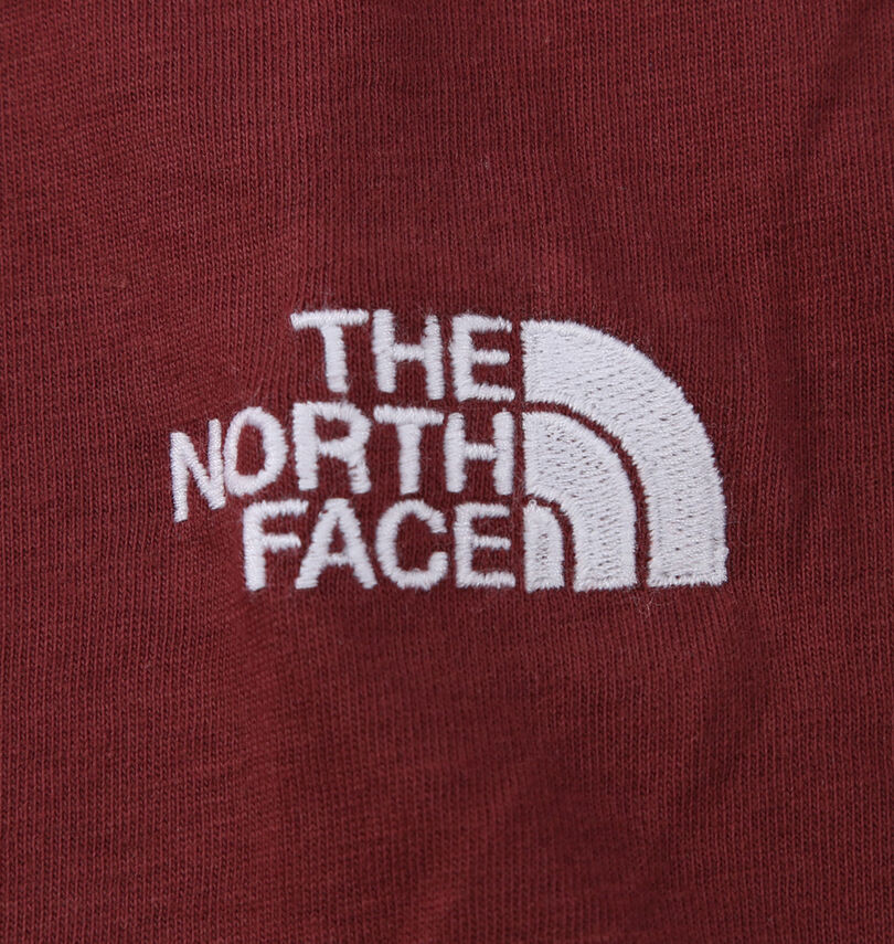 大きいサイズ メンズ THE NORTH FACE (ザ・ノース・フェイス) 半袖Tシャツ
                        胸刺繍