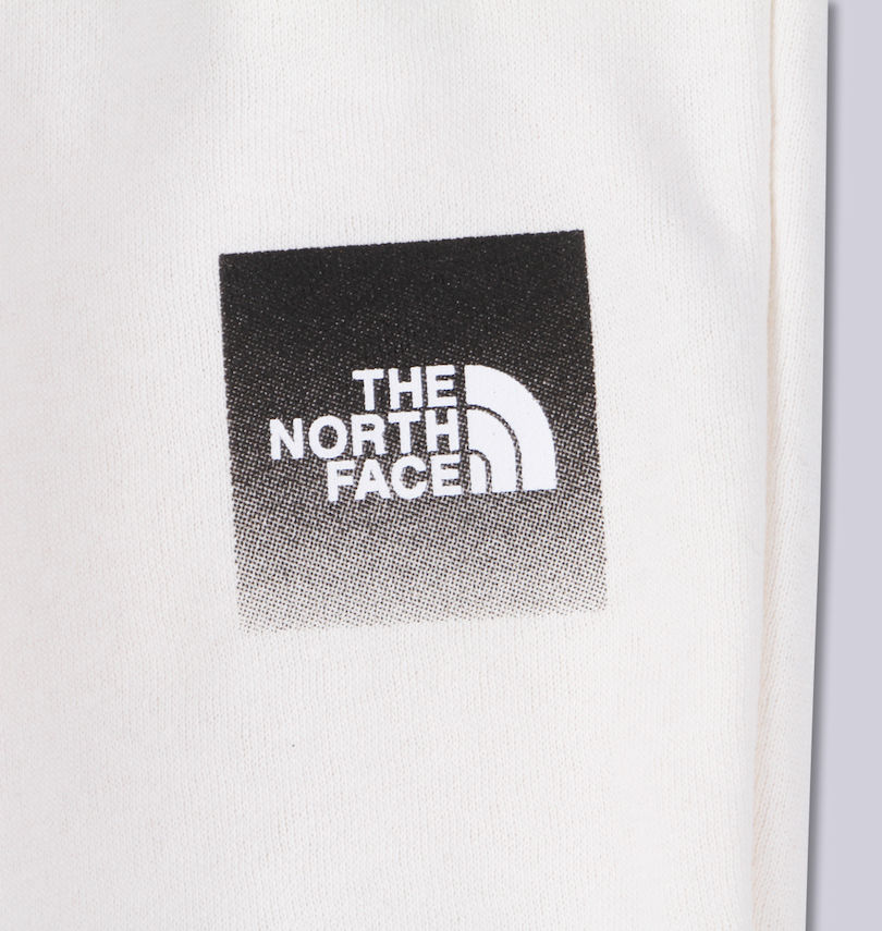 大きいサイズ メンズ THE NORTH FACE (ザ・ノース・フェイス) スウェットパンツ
                        プリント