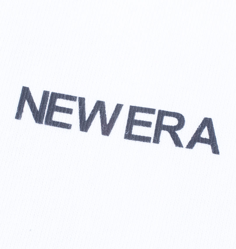 大きいサイズ メンズ NEW ERA (ニューエラ) DSTバースプレイス半袖Tシャツ プリント