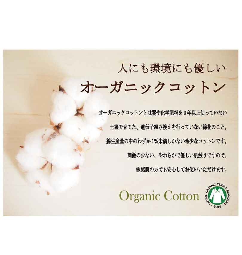 大きいサイズ メンズ Mc.S.P (エムシーエスピー) オーガニックコットンクルーネック半袖Tシャツ
                        