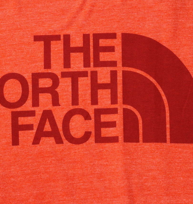 大きいサイズ メンズ THE NORTH FACE (ザ・ノース・フェイス) 半袖Tシャツ 