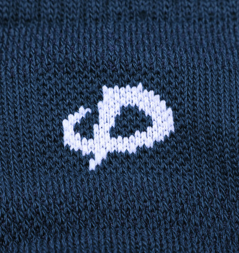 大きいサイズ メンズ Phiten (ファイテン) 2P5本指セミロングスポーツソックス
                        