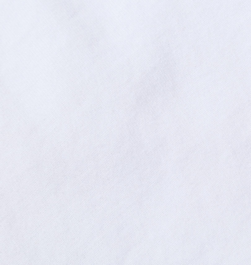 大きいサイズ メンズ ELEMENT (エレメント) FLANE半袖Tシャツ
                        生地拡大