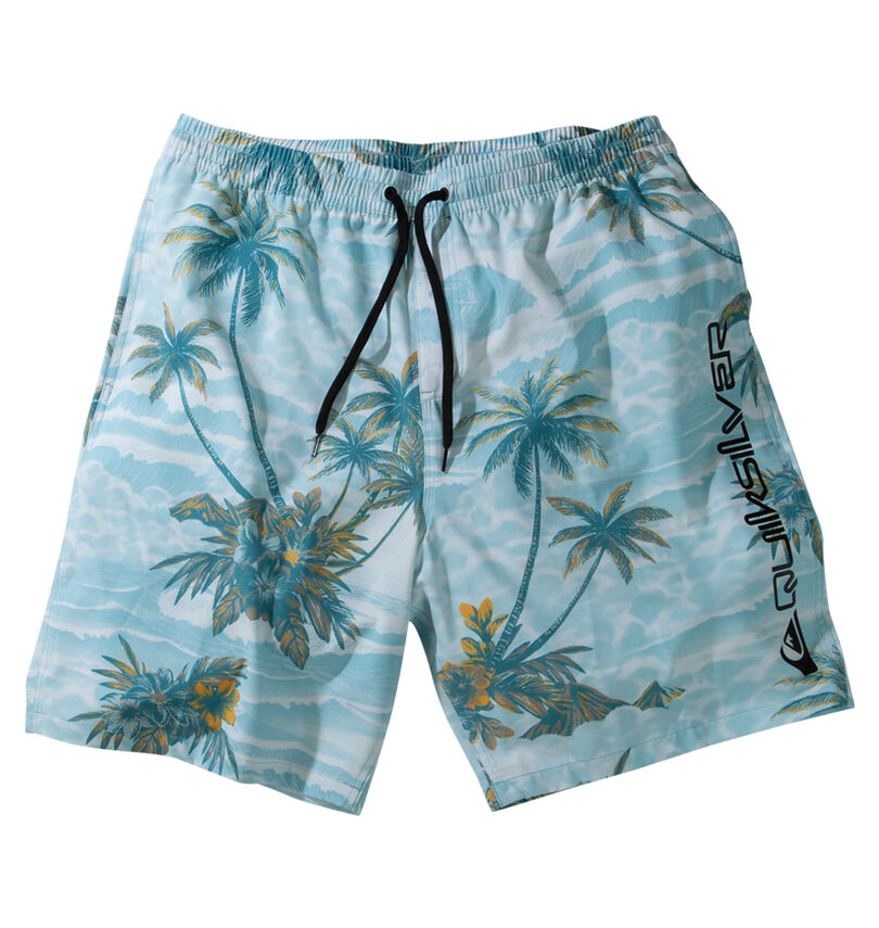 大きいサイズ メンズ Quiksilver (クイックシルバー) SUNDOWN VOLLEY 20NS水陸両用ショーツ
                        