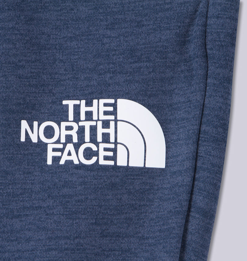 大きいサイズ メンズ THE NORTH FACE (ザ・ノース・フェイス) テックパンツ
プリント