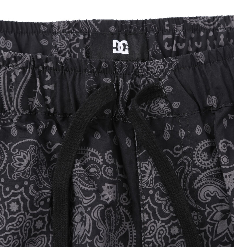 大きいサイズ メンズ DCSHOES (ディーシーシューズ) 26DIVERSE水陸両用ハーフパンツ