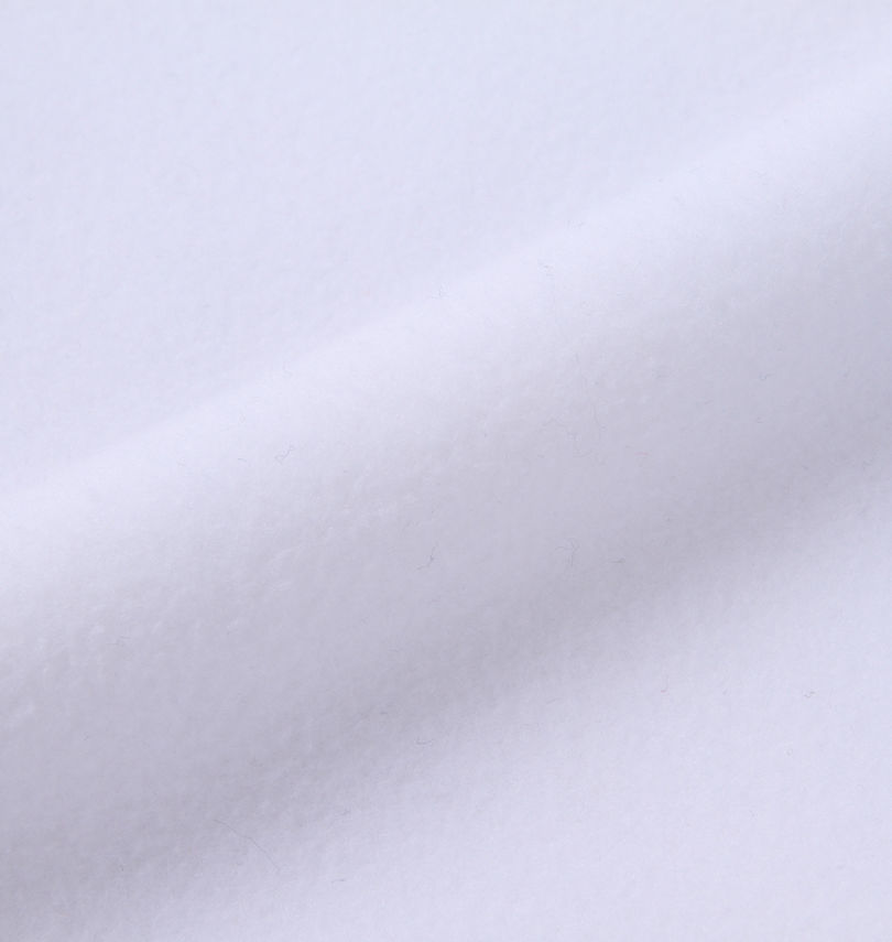 大きいサイズ メンズ THE NORTH FACE (ザ・ノース・フェイス) ハーフジップフリースジャケット
                        生地拡大