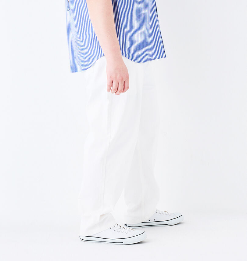 大きいサイズ メンズ DCSHOES (ディーシーシューズ) 24 WIDEパンツ
                        