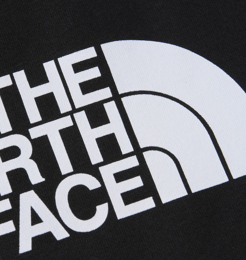 大きいサイズ メンズ THE NORTH FACE (ザ・ノース・フェイス) プルパーカー
プリント拡大