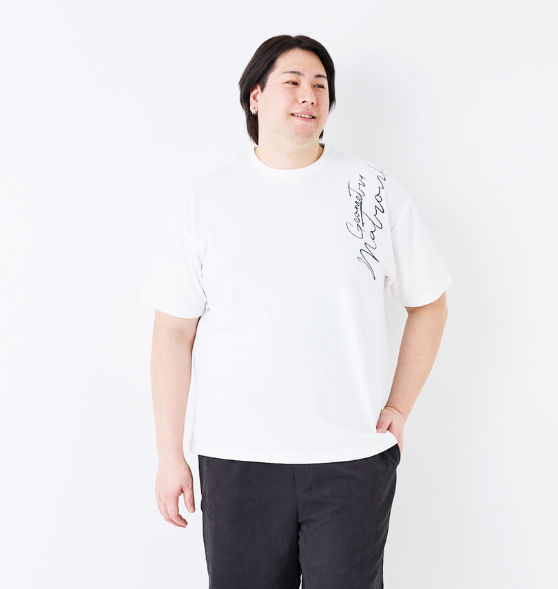 大きいサイズ メンズ in the attic (インジアティック) 刺繍ジャガード半袖Tシャツ
身長:182cm/バスト:123cm/着用サイズ:3L