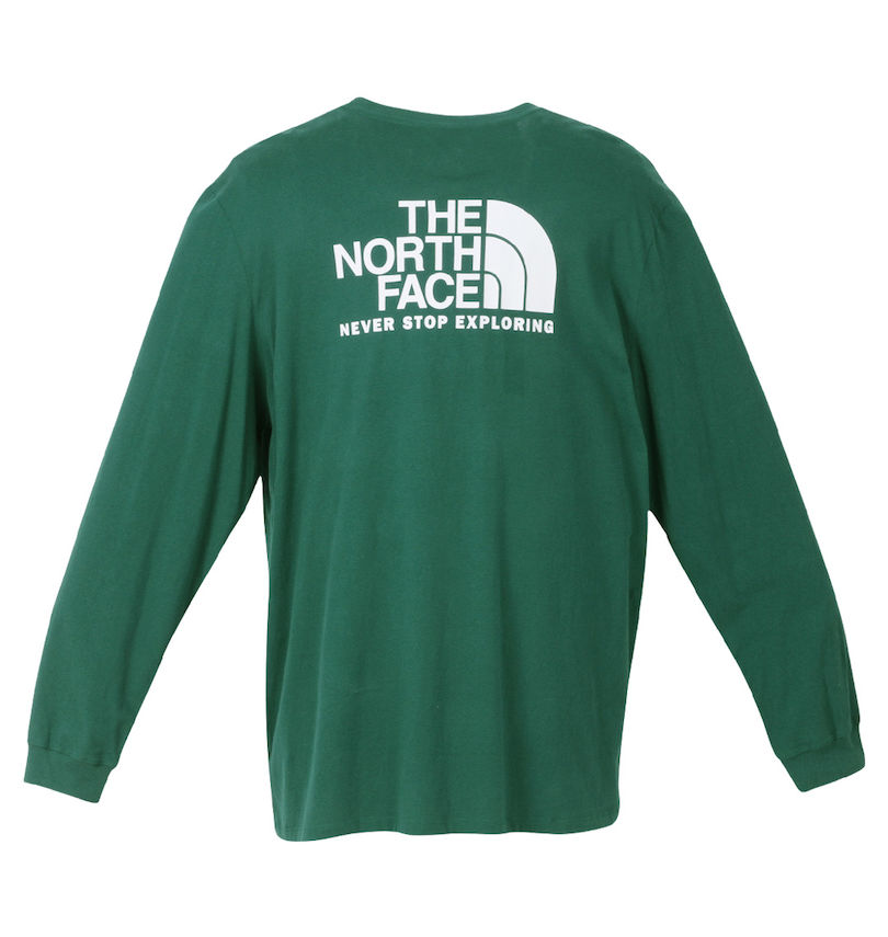 大きいサイズ メンズ THE NORTH FACE (ザ・ノース・フェイス) 長袖Tシャツ バックスタイル
