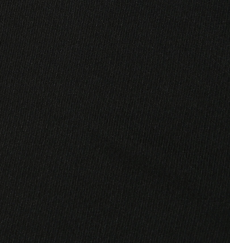 大きいサイズ メンズ 豊天 (ブーデン) いつもさぼってんDRYハニカムメッシュ半袖Tシャツ
                        生地拡大
