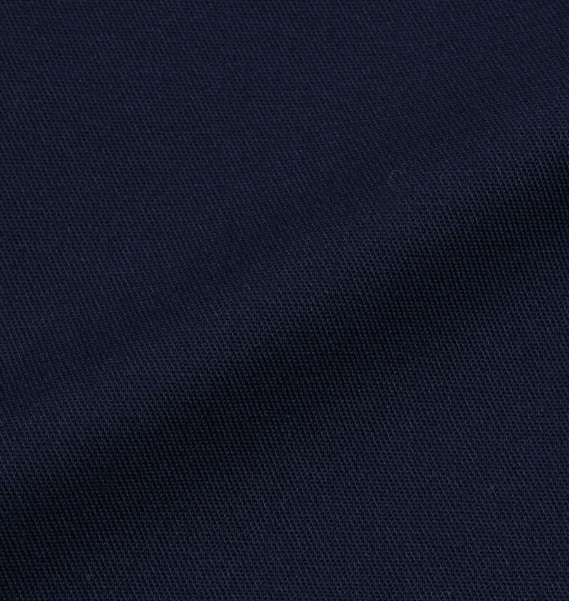 大きいサイズ メンズ DICKIES (ディッキーズ) 48799長袖カバーオール
                        生地拡大