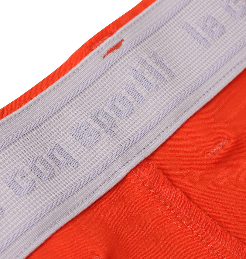 大きいサイズ メンズ LE COQ SPORTIF GOLF (ルコックスポルティフ　ゴルフ) チェックボーダージャガードショートパンツ
                        すべり止め