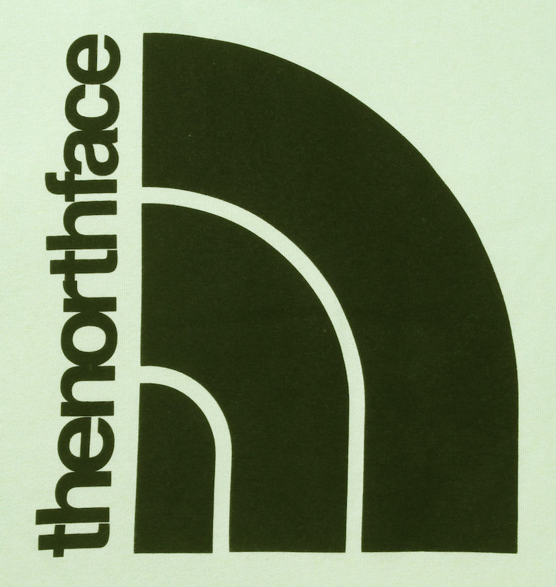 大きいサイズ メンズ THE NORTH FACE (ザ・ノース・フェイス) プルパーカー
                        プリント