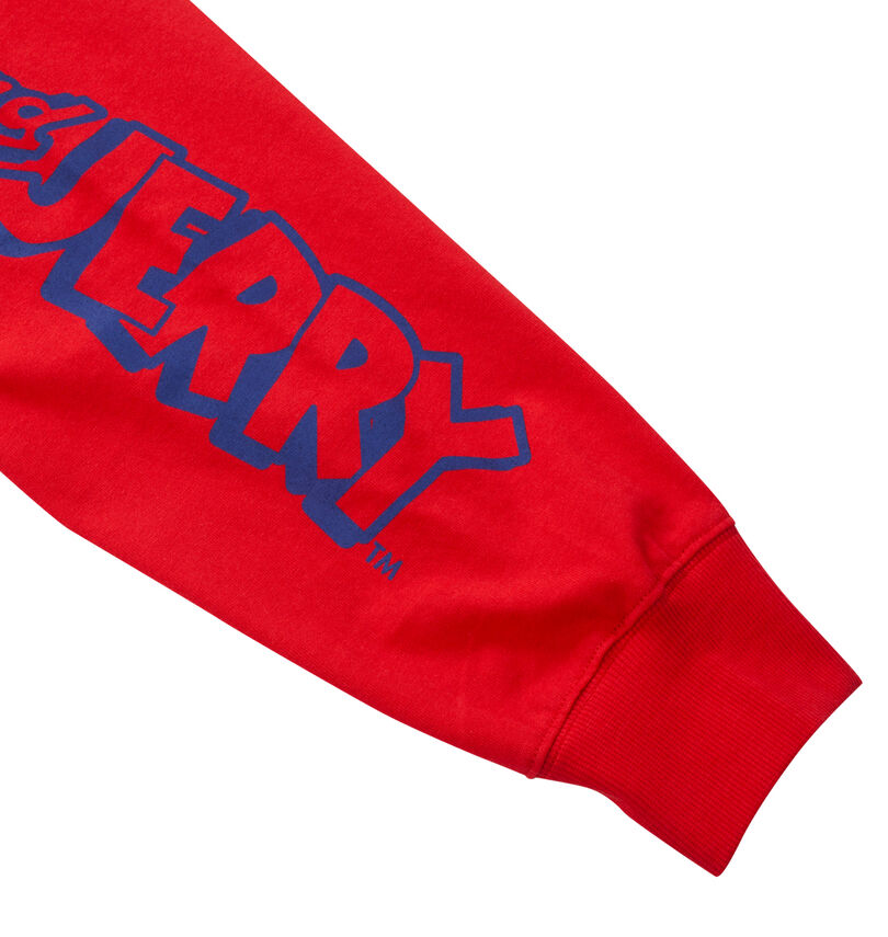 大きいサイズ メンズ TOM and JERRY (トムアンドジェリー) 天竺プリント長袖Tシャツ
                        袖プリント