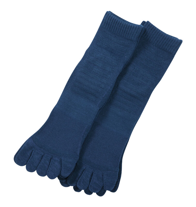 大きいサイズ メンズ Phiten (ファイテン) 2P5本指セミロングスポーツソックス
                        