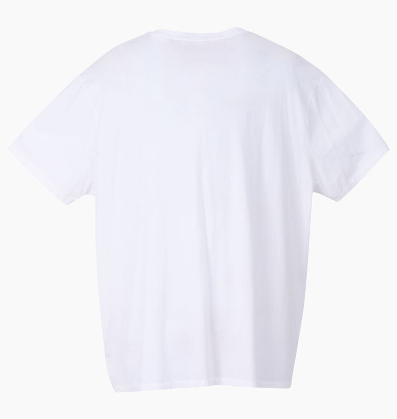大きいサイズ メンズ RALPH LAUREN (ラルフローレン) 半袖Tシャツ バックスタイル
