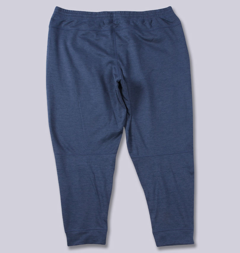 大きいサイズ メンズ THE NORTH FACE (ザ・ノース・フェイス) テックパンツ
バックスタイル