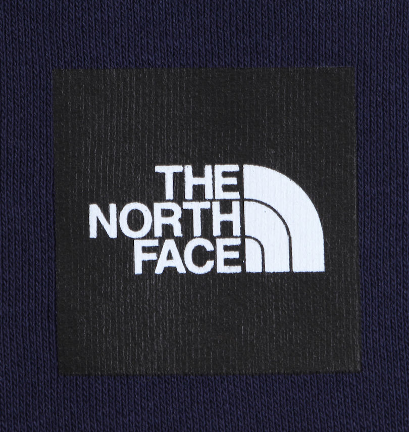 大きいサイズ メンズ THE NORTH FACE (ザ・ノース・フェイス) プルパーカー
プリント