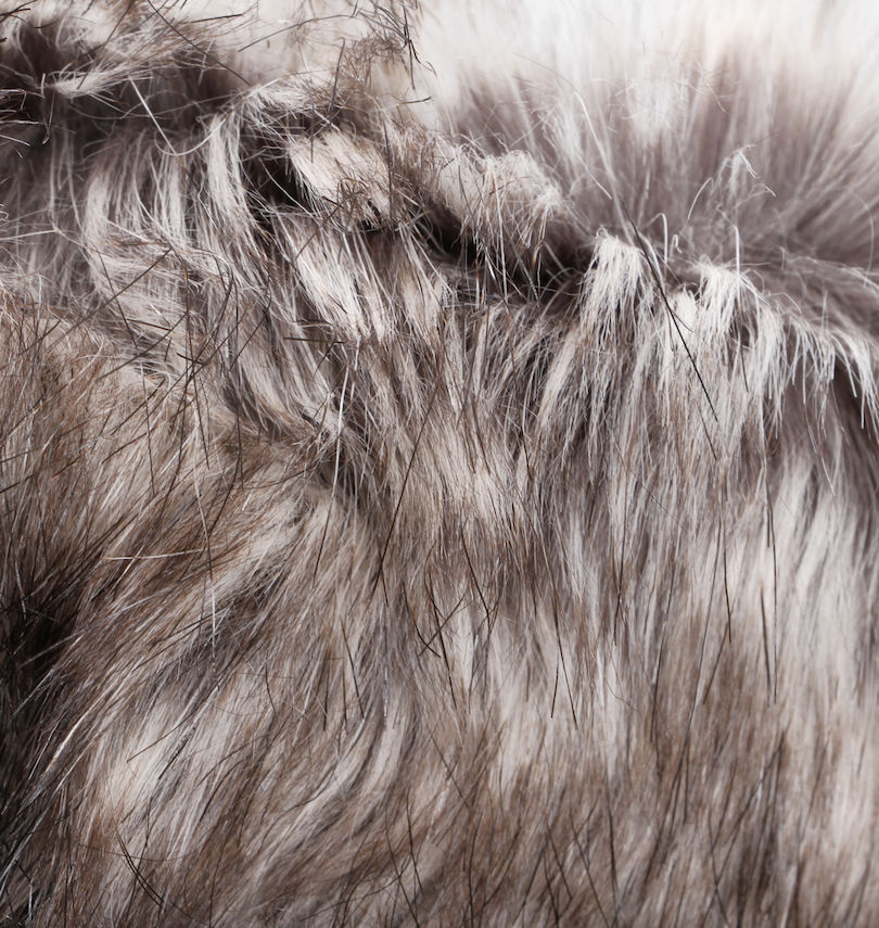 大きいサイズ メンズ THE NORTH FACE (ザ・ノース・フェイス) ダウンジャケット
                        フェイクファー拡大