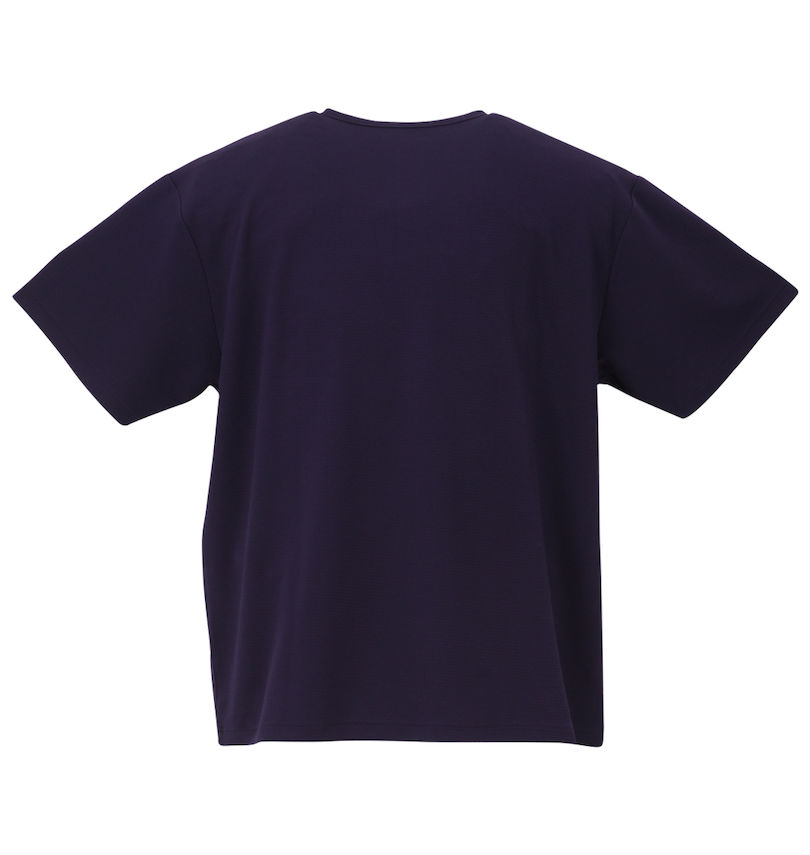 大きいサイズ メンズ COLLINS (コリンズ) TPUフクレジャガードヘンリーネック半袖Tシャツ バックスタイル