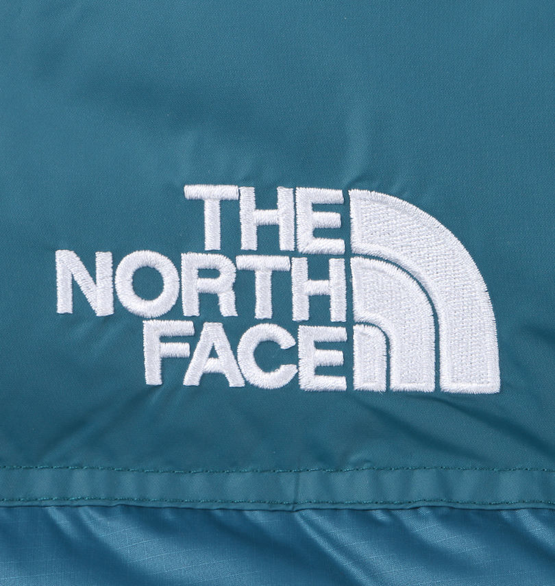 大きいサイズ メンズ THE NORTH FACE (ザ・ノース・フェイス) ダウンジャケット
                        刺繍