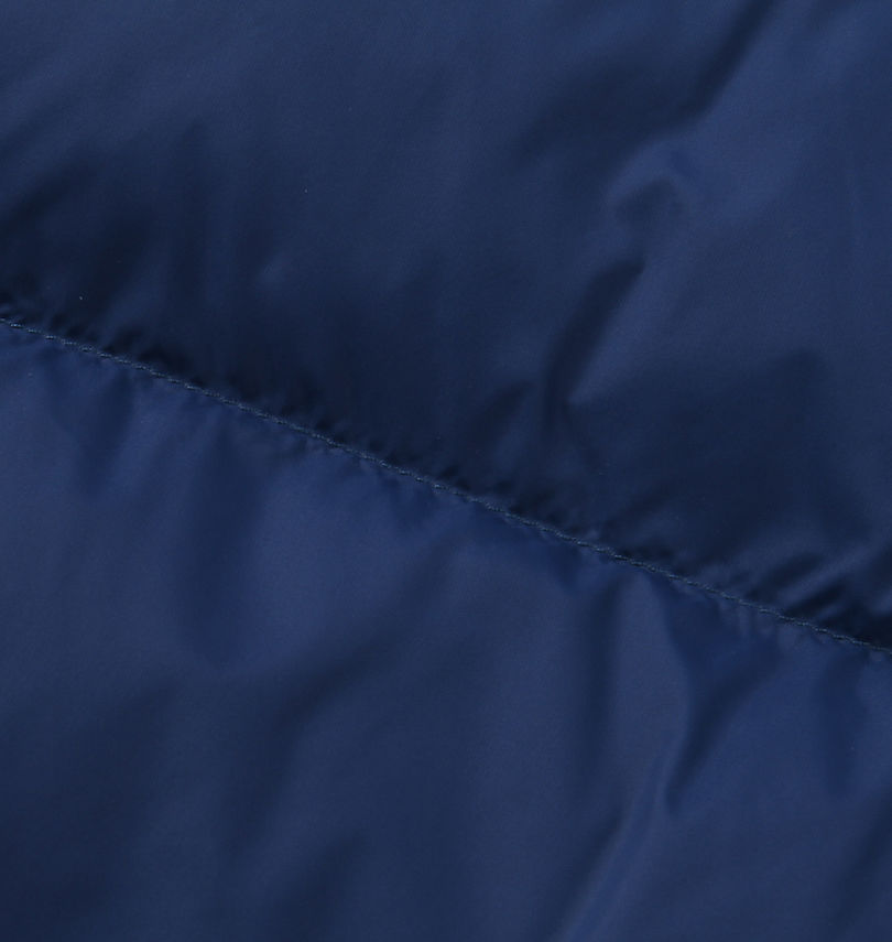 大きいサイズ メンズ THE NORTH FACE (ザ・ノース・フェイス) HYDRENALITE ダウンジャケット
                        生地拡大