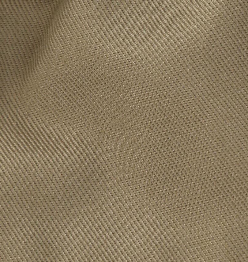 大きいサイズ メンズ BEN DAVIS (ベン デイビス) カーブバギーワークパンツ
                        生地拡大