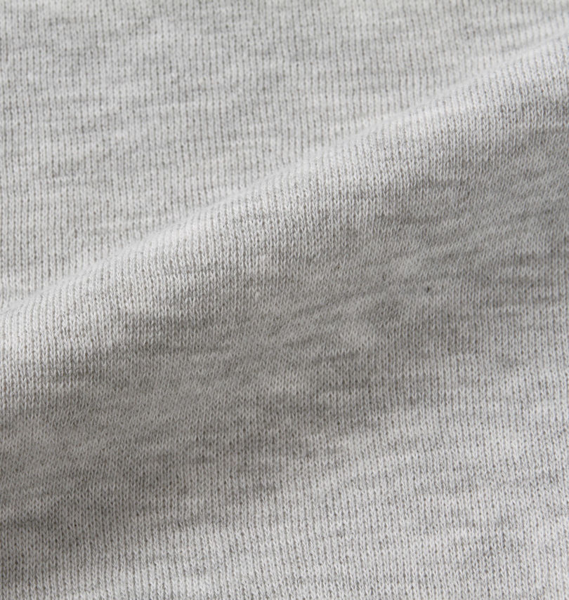 大きいサイズ メンズ OCEAN PACIFIC (オーシャンパシフィック) 裏起毛クルーネックスウェット
                        生地拡大