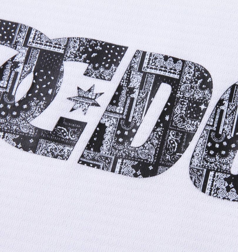 大きいサイズ メンズ DCSHOES (ディーシーシューズ) 半袖Tシャツ
                        プリント拡大