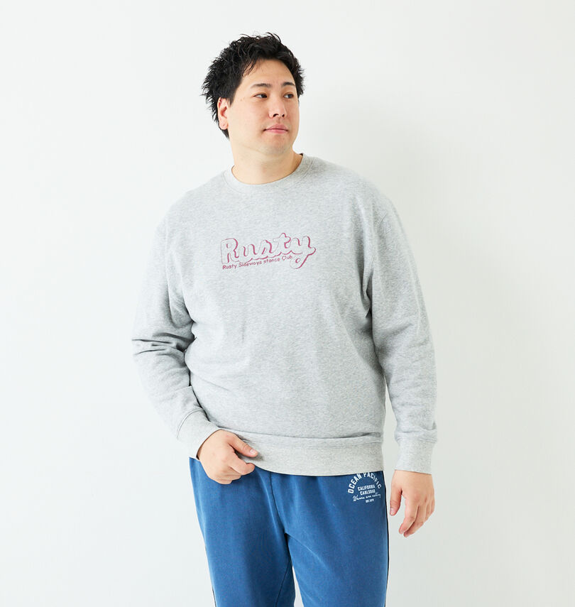 大きいサイズ メンズ RUSTY (ラスティ) 裏毛クルースウェット
身長:182cm/バスト:123cm/着用サイズ:3L