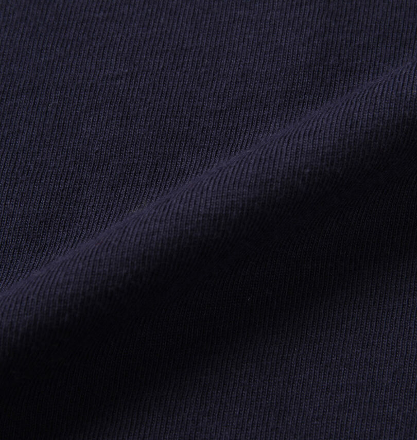 大きいサイズ メンズ RALPH LAUREN (ラルフローレン) 半袖Tシャツ
                        生地拡大