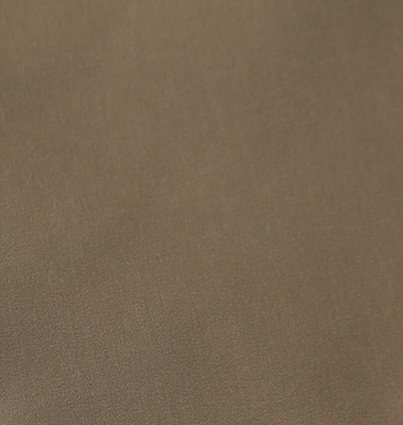 大きいサイズ メンズ Quiksilver (クイックシルバー) SOLID VOLLEY 19NB水陸両用ショーツ
                        生地拡大