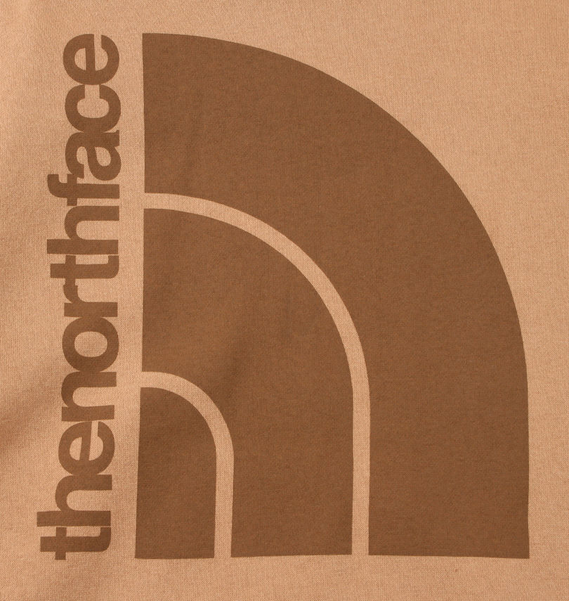 大きいサイズ メンズ THE NORTH FACE (ザ・ノース・フェイス) プルパーカー
                        プリント