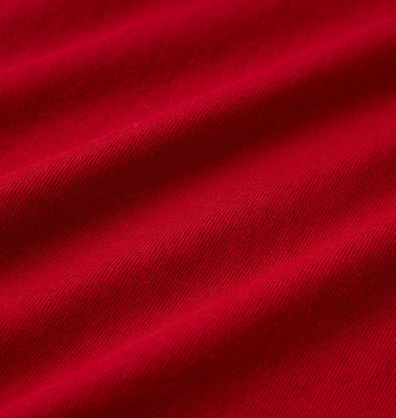 大きいサイズ メンズ NESTA BRAND (ネスタブランド) 天竺長袖Tシャツ
                        生地拡大