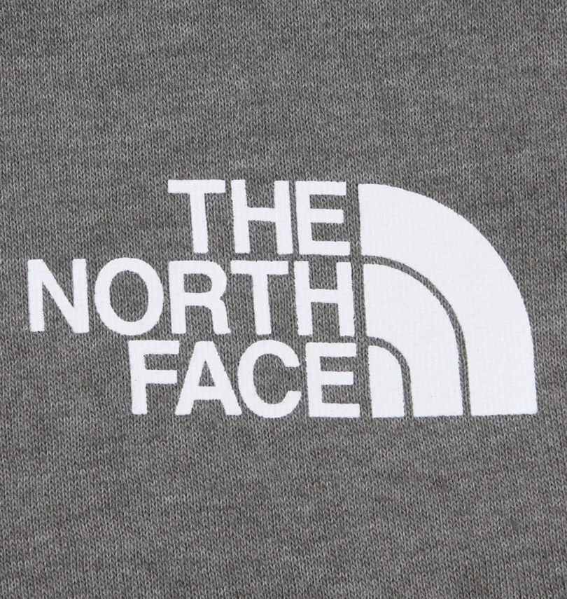 大きいサイズ メンズ THE NORTH FACE (ザ・ノース・フェイス) プルパーカー
胸プリント