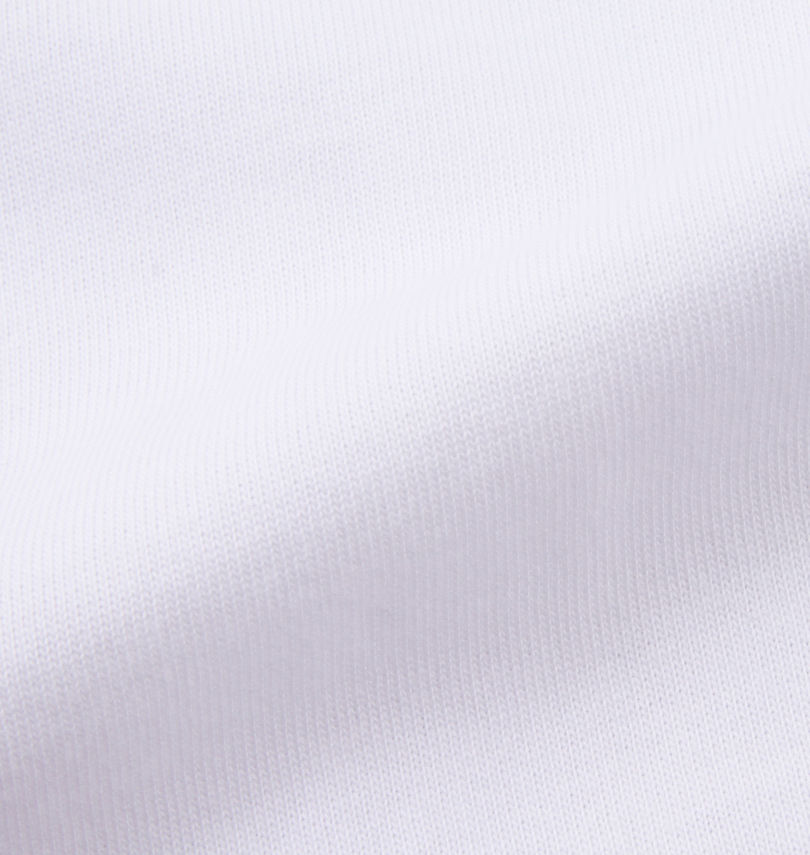 大きいサイズ メンズ DRAGON BALL (ドラゴンボール) 天竺亀仙人半袖Tシャツ
                        生地拡大