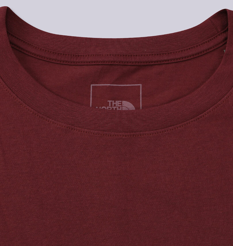 大きいサイズ メンズ THE NORTH FACE (ザ・ノース・フェイス) 半袖Tシャツ
                        