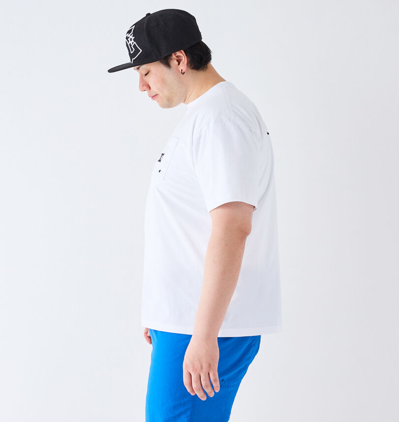大きいサイズ メンズ DCSHOES (ディーシーシューズ) 24TECH JERSEY VARIOUS半袖Tシャツ
                        
