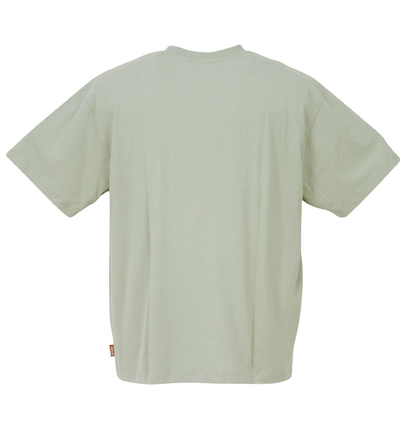 大きいサイズ メンズ Coleman (コールマン) USAコットンポケット付半袖Tシャツ バックスタイル