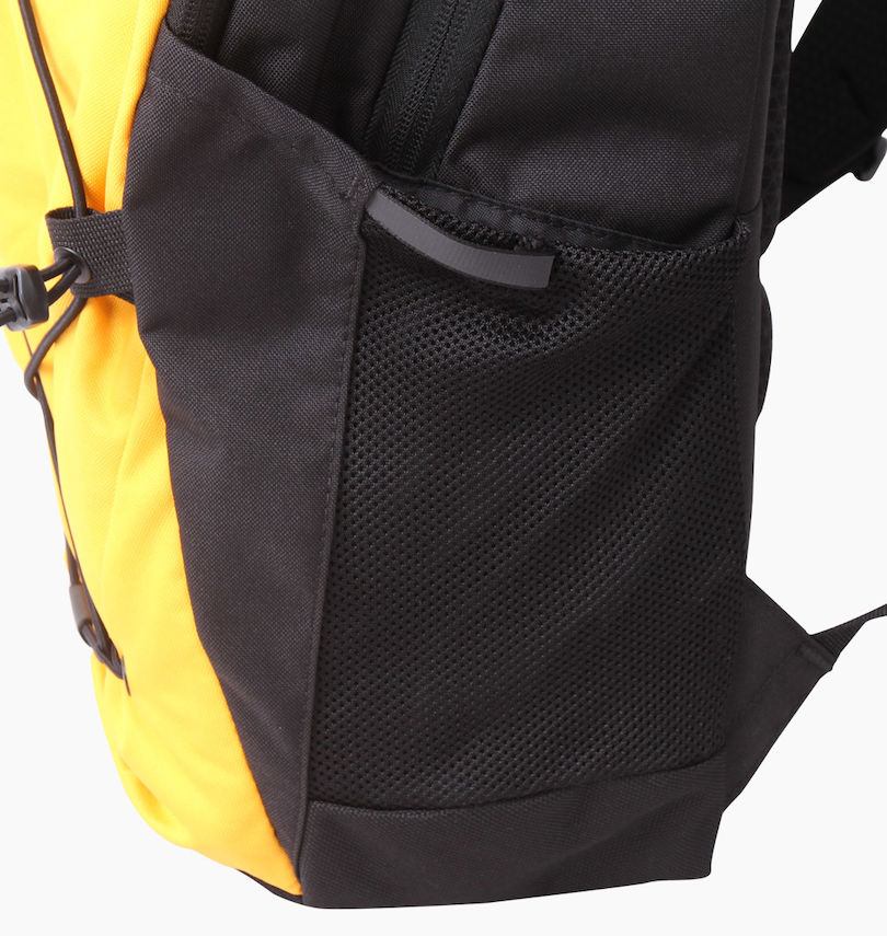 大きいサイズ メンズ THE NORTH FACE (ザ・ノース・フェイス) バックパック
                        サイドポケット