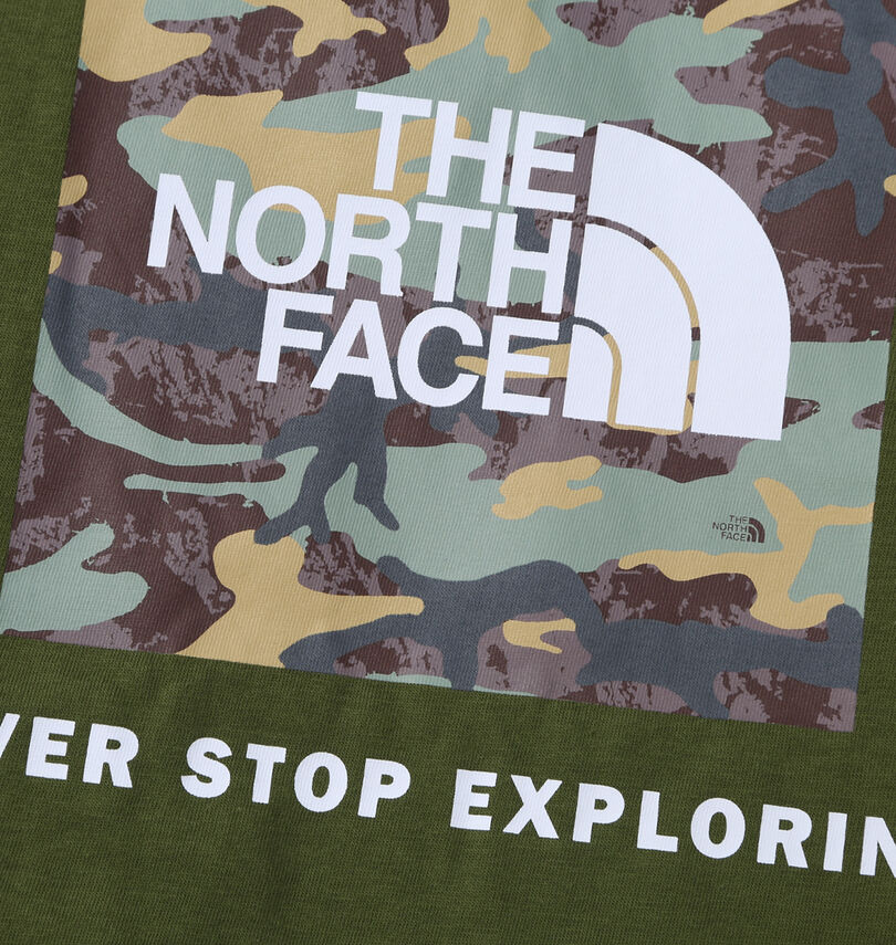 大きいサイズ メンズ THE NORTH FACE (ザ・ノース・フェイス) 半袖Tシャツ
                        バックプリント
