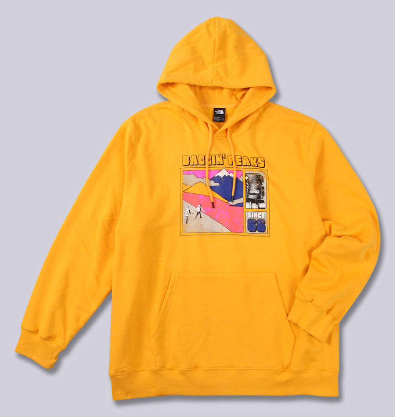 大きいサイズ メンズ THE NORTH FACE (ザ・ノース・フェイス) プルパーカー