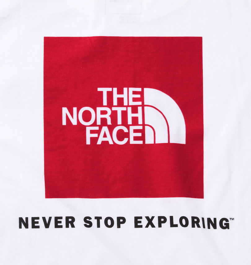 大きいサイズ メンズ THE NORTH FACE (ザ・ノース・フェイス) 長袖Tシャツ バックプリント