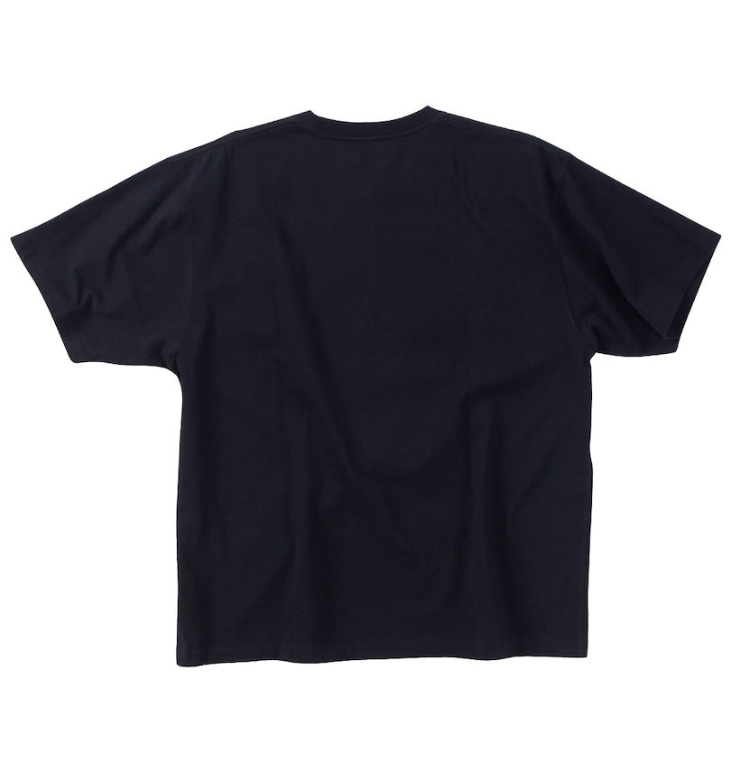 大きいサイズ メンズ NEW ERA (ニューエラ) ペイズリーフラッグロゴ半袖Tシャツ バックスタイル