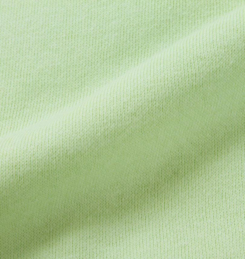 大きいサイズ メンズ THE NORTH FACE (ザ・ノース・フェイス) プルパーカー
                        生地拡大