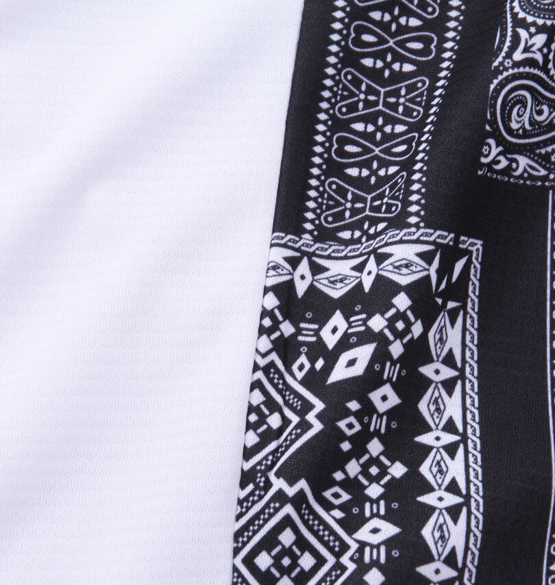 大きいサイズ メンズ DCSHOES (ディーシーシューズ) 半袖Tシャツ
                        生地切替