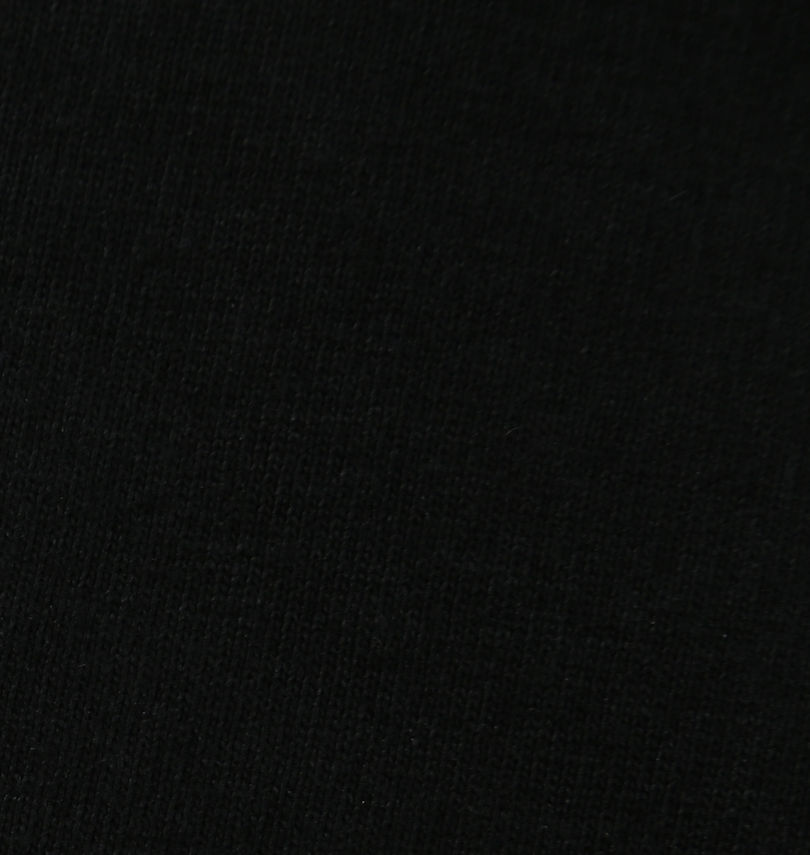 大きいサイズ メンズ 絡繰魂抜刀娘 (カラクリタマシイバットウムスメ) 凛&穂乃花長袖Tシャツ
生地拡大