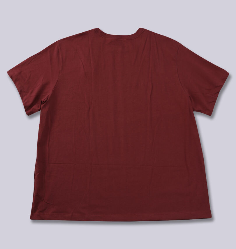 大きいサイズ メンズ THE NORTH FACE (ザ・ノース・フェイス) 半袖Tシャツ
                        バックスタイル